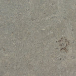SUELO DE MÁRMOL GRIS NAVY - ARQMAT