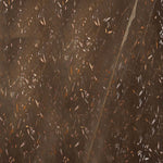 SUELO DE MÁRMOL FOSILE BROWN MARRONES - ARQMAT