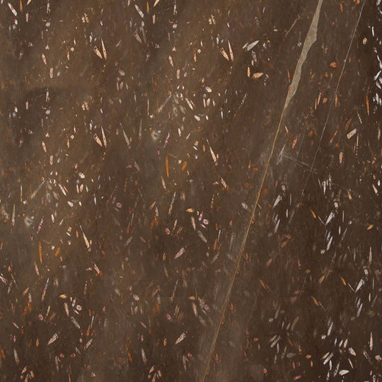 SUELO DE MÁRMOL FOSILE BROWN MARRONES - ARQMAT