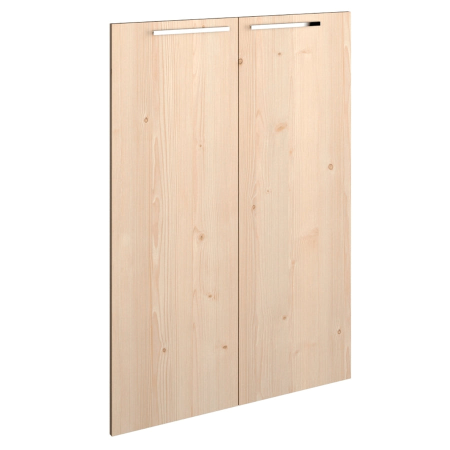 DOUBLE DOOR OF MEDIUM CABINET
