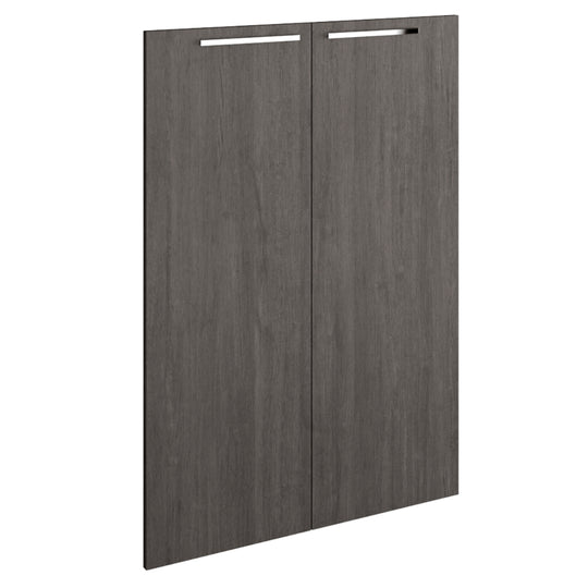 DOUBLE DOOR OF MEDIUM CABINET