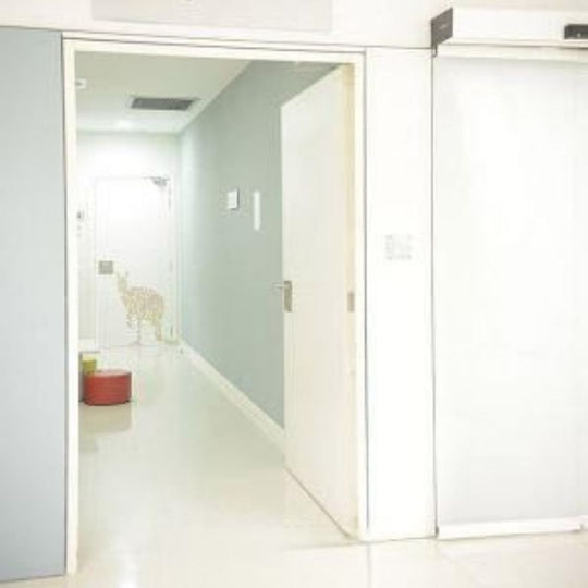 MEGA TURIA FIRE DOOR