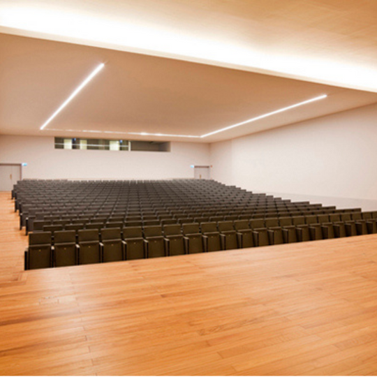 DOUSSIE NATURAL WOOD FLOOR