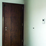 SMOOTH CONTEMPORARY RESIDENTIAL DOOR