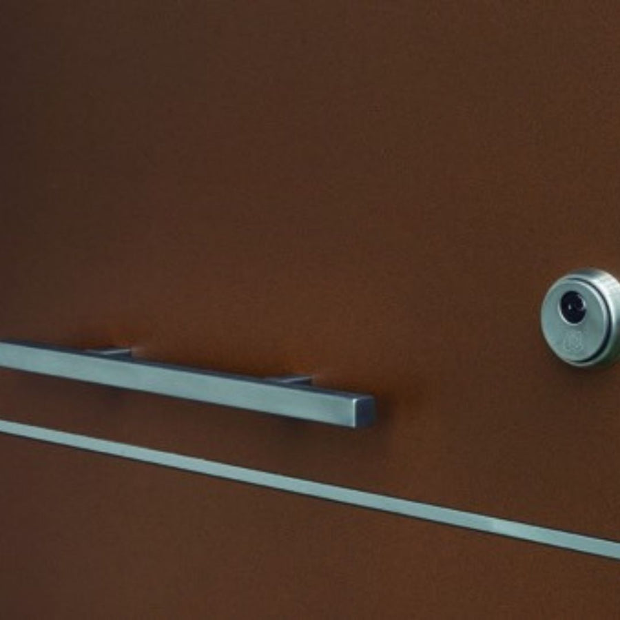 RESIDENTIAL DOOR WITH STAINLESS INSERT