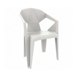 DELTA CHAIR WITH ARMS