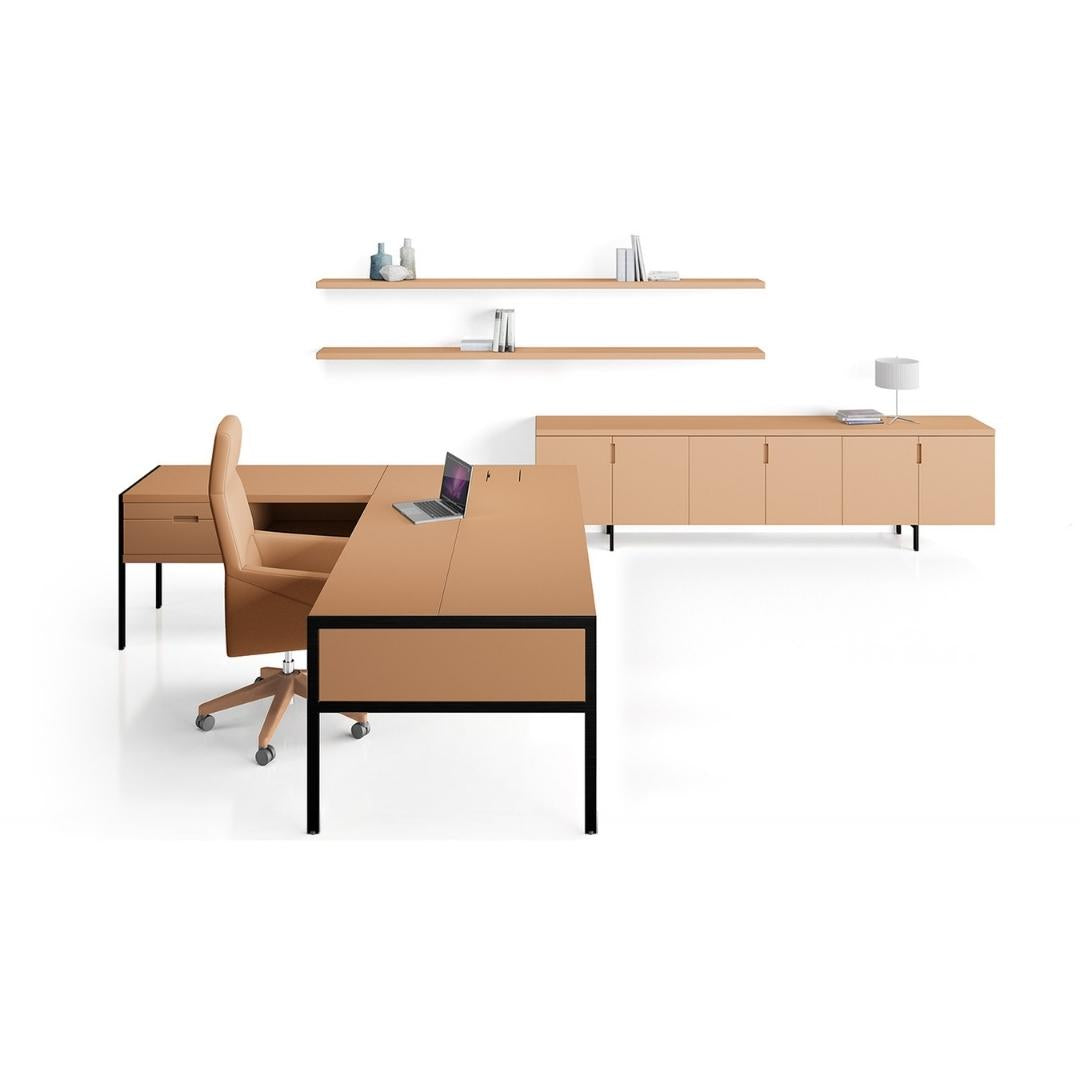 DIRECTIONAL OFFICE | GALLERY &amp; RAY SERIES