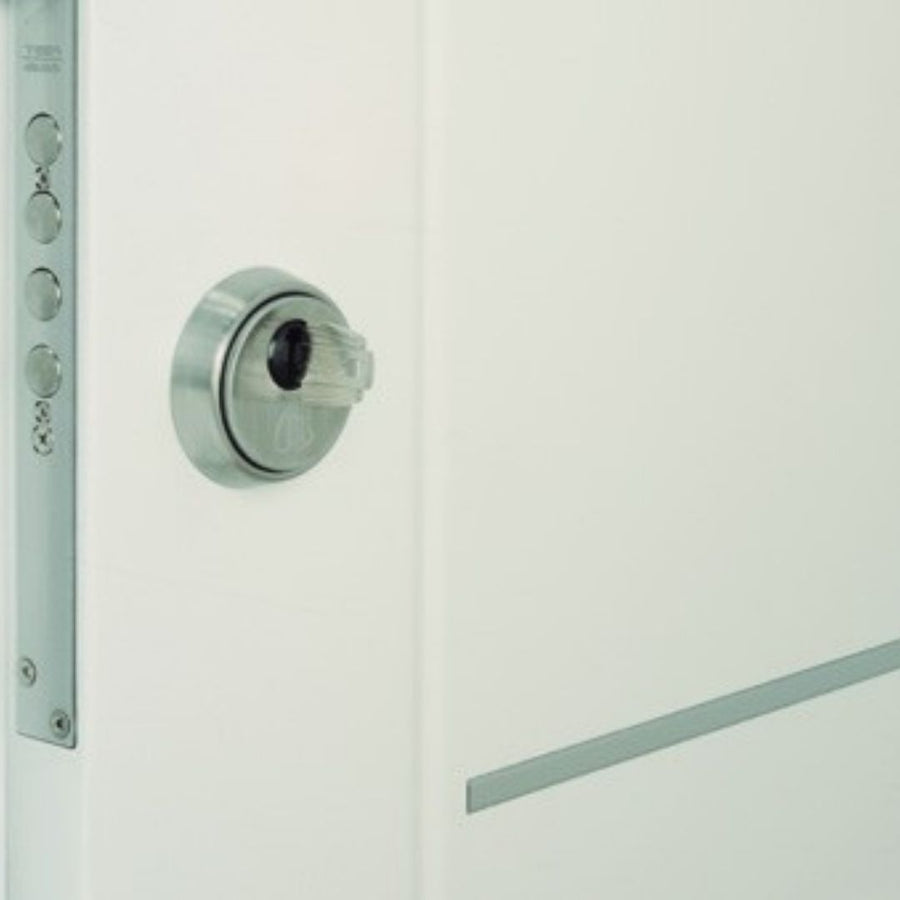 RESIDENTIAL DOOR WITH STAINLESS SCALA