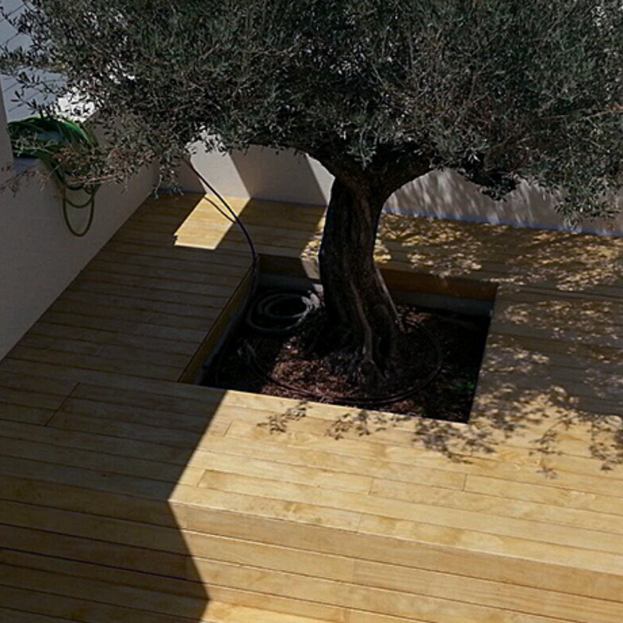 ACCOYA NATURAL WOOD FLOOR | INTERIOR EXTERIOR