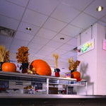 CIELO RASO ESCAYOLA SEMIPERFORADA - ARQMAT