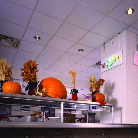 CIELO RASO ESCAYOLA SEMIPERFORADA - ARQMAT